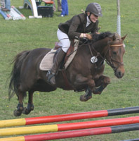 Von den drei Ponyspringen in Neubrandenburg gewann Franziska Lass (Griebenow) zwei auf Hanna WE. Von den drei Ponyspringen in Neubrandenburg gewann Franziska Lass (Griebenow) zwei auf Hanna WE.